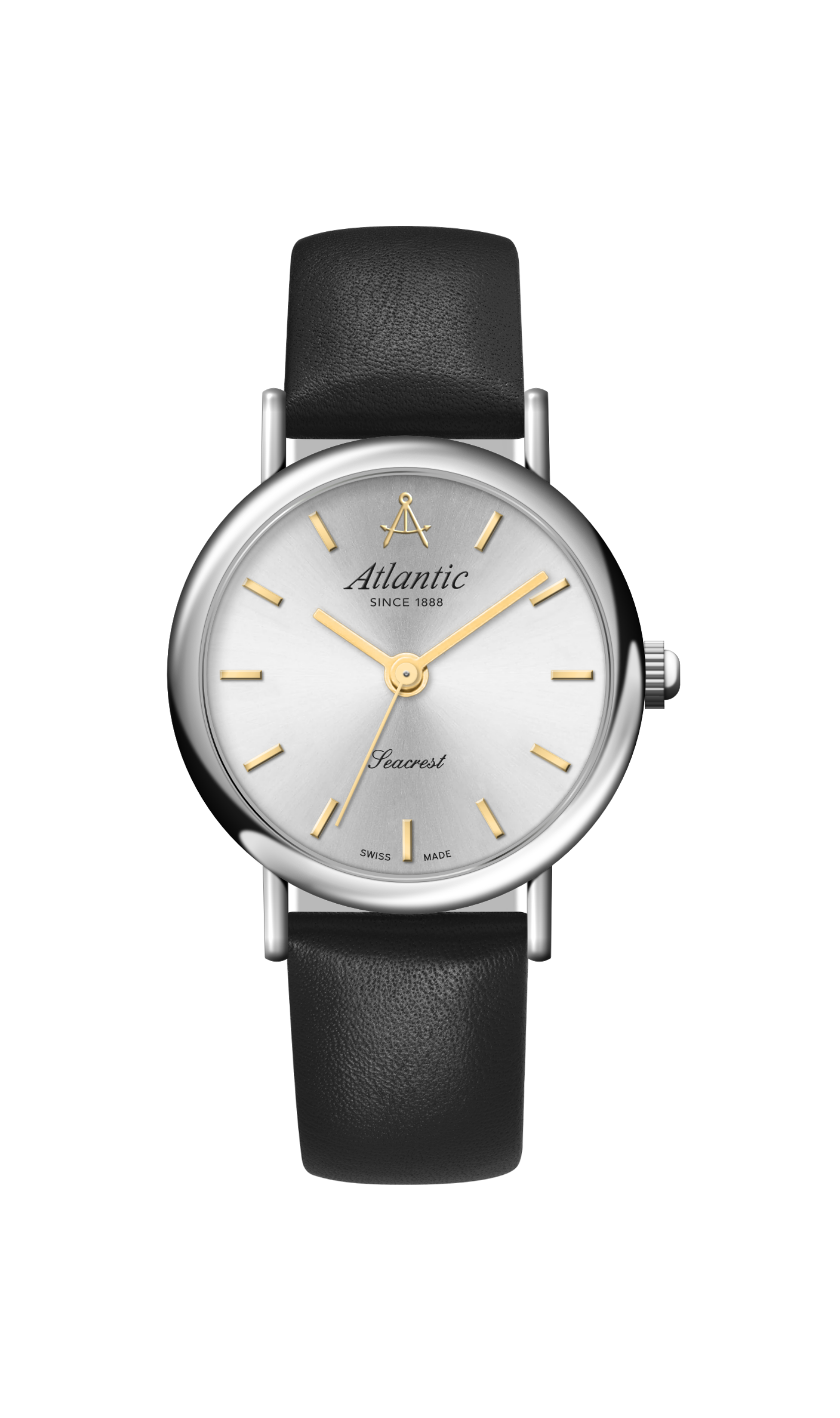 Silver / Steel on Leather